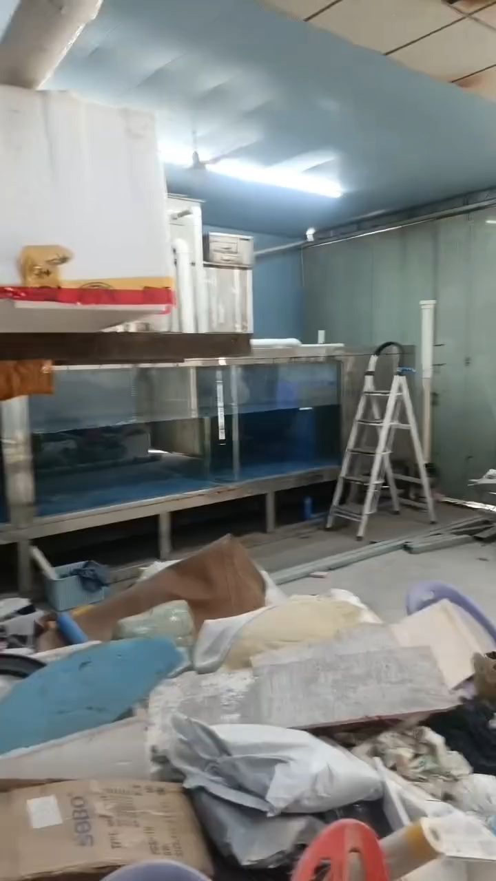 新廠