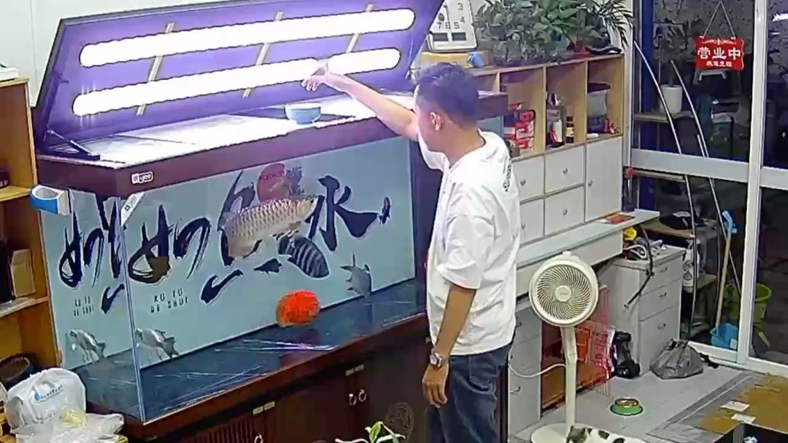 day、335 我也發(fā)一段喂食的視頻（335天喂食實(shí)驗(yàn)）