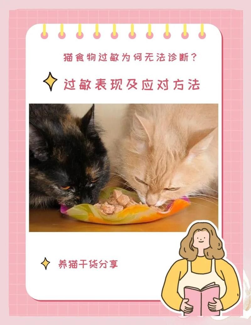 如何判斷龍貓是否對新糧過敏