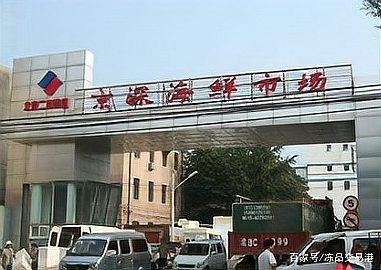 如何聯系北京龍魚批發市場的商家？