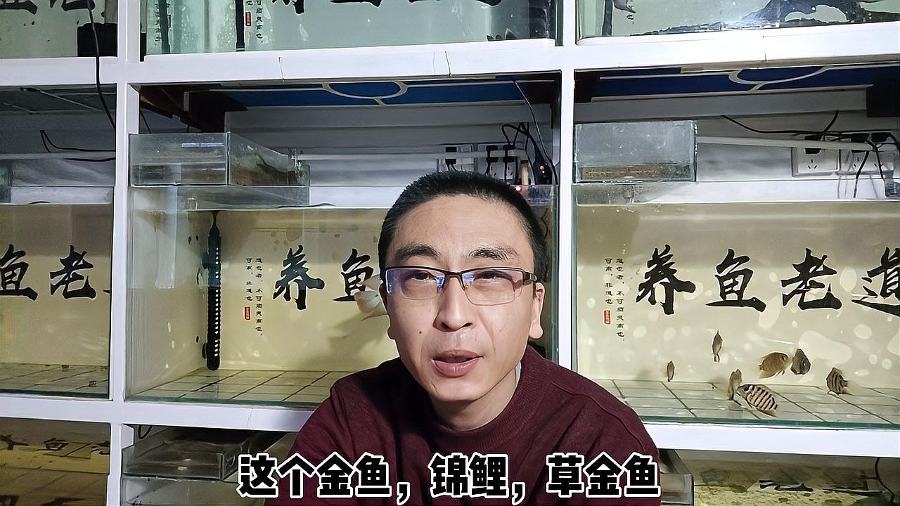 混養中常見的病害有哪些（養中常見的病害主要包括以下幾種，養中常見的病害包括以下幾種）