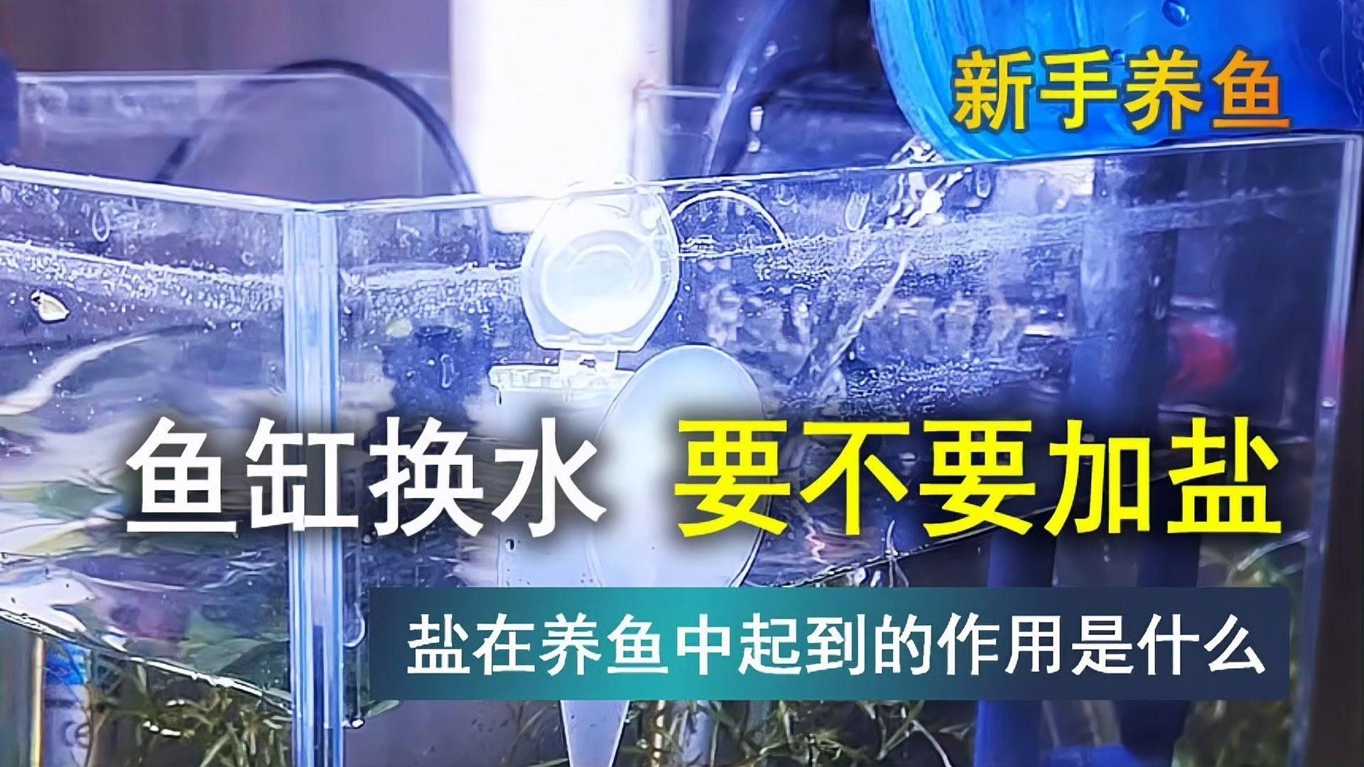 雷龍魚換水后需要加鹽嗎