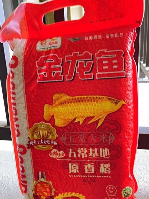 如何鑒別紅龍魚的血統,如何精準鑒別紅龍魚的血統 龍魚百科 第2張 如何鑒別紅龍魚的血統,如何精準鑒別紅龍魚的血統 如何鑒別紅龍魚的血統,如何精準鑒別紅龍魚的血統 龍魚百科 第2張