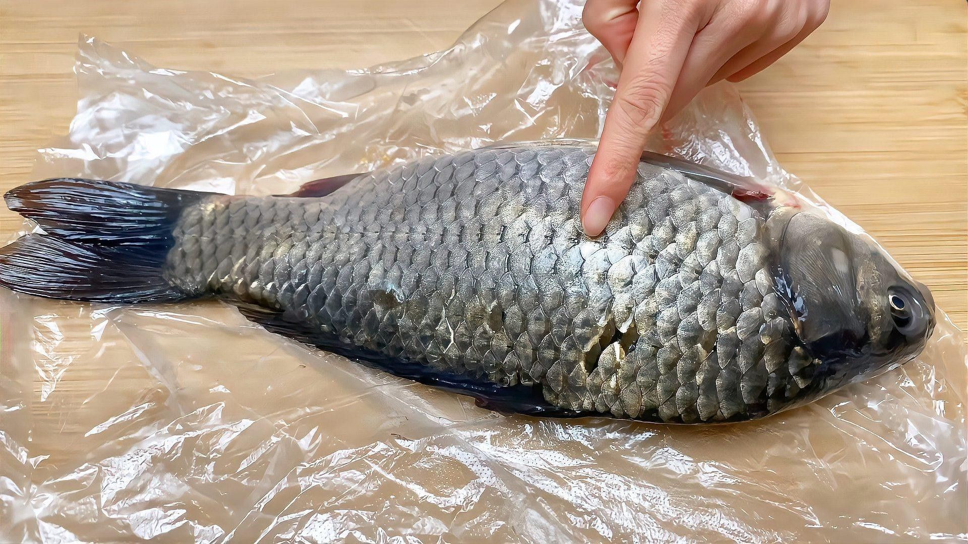 如何保養(yǎng)黑金剛過(guò)背金龍魚的鱗片（保養(yǎng)黑金剛過(guò)背金龍魚的建議）
