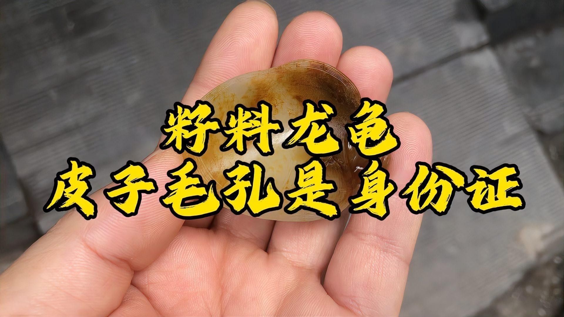 如何保養和田玉籽料龍龜？（和田玉籽料龍龜的保養與禁忌baiqi.makepolo）