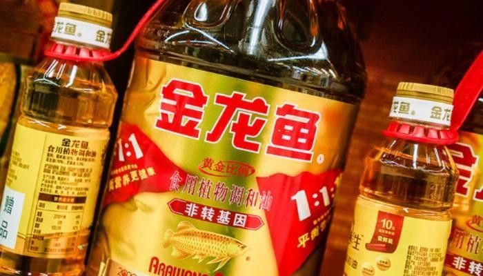 金龍魚的投資計劃何時完成（金龍魚投資計劃調整至2027年12月31日）