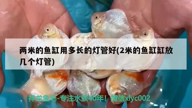 兩米的魚缸用多長(zhǎng)的燈管好(2米的魚缸缸放幾個(gè)燈管)