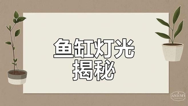 如何根據(jù)魚種選擇燈光？（如何根據(jù)魚種的特性來(lái)選擇適合的燈光）
