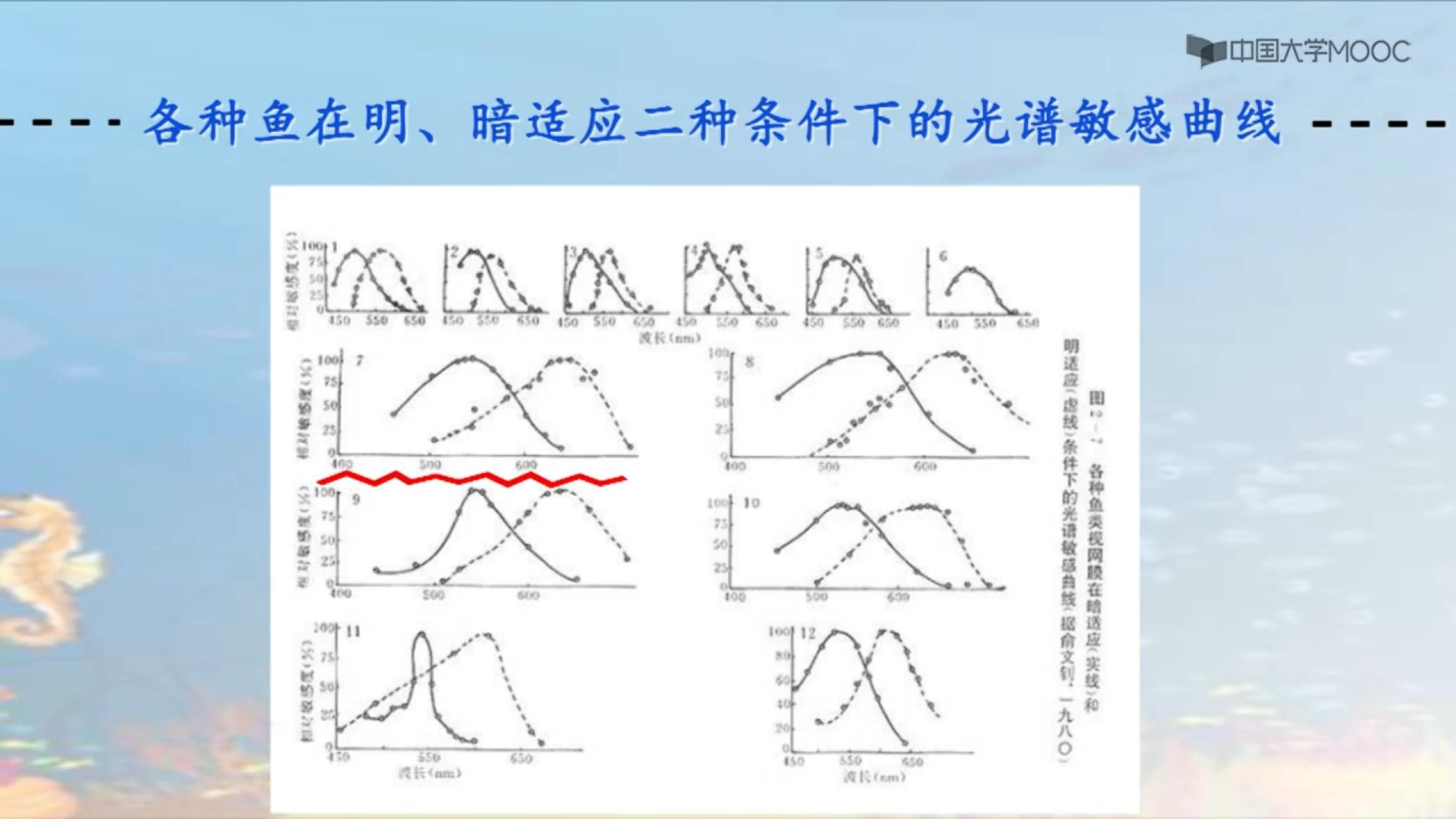 如何根據(jù)魚種選擇燈光？（如何根據(jù)魚種的特性來(lái)選擇適合的燈光）