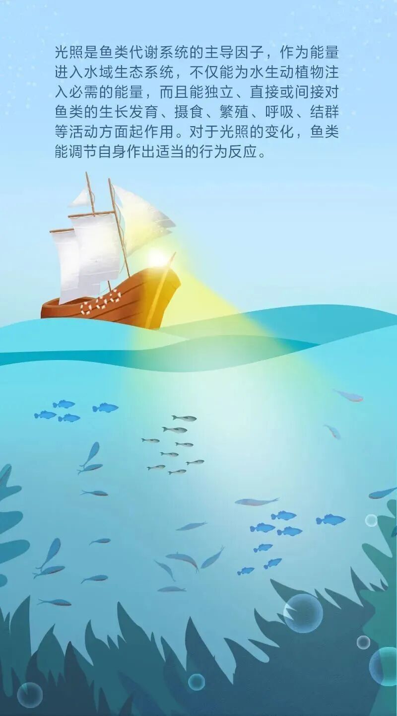 如何根據魚種選擇燈光？（如何根據魚種的特性來選擇適合的燈光）