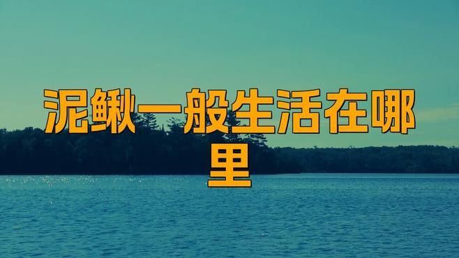 如何判斷雷龍魚是否適應泥鰍？（如何判斷雷龍魚是否適應泥鰍環境） 如何判斷雷龍魚是否適應泥鰍？（如何判斷雷龍魚是否適應泥鰍環境） 龍魚百科 第3張