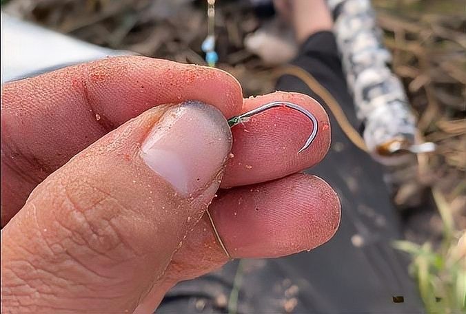 青龍魚線的使用壽命如何（青龍魚線的使用壽命與保養技巧）