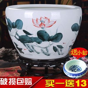 專賣龍魚的店名（專賣龍魚的店名大全）（專賣龍魚的店名大全）