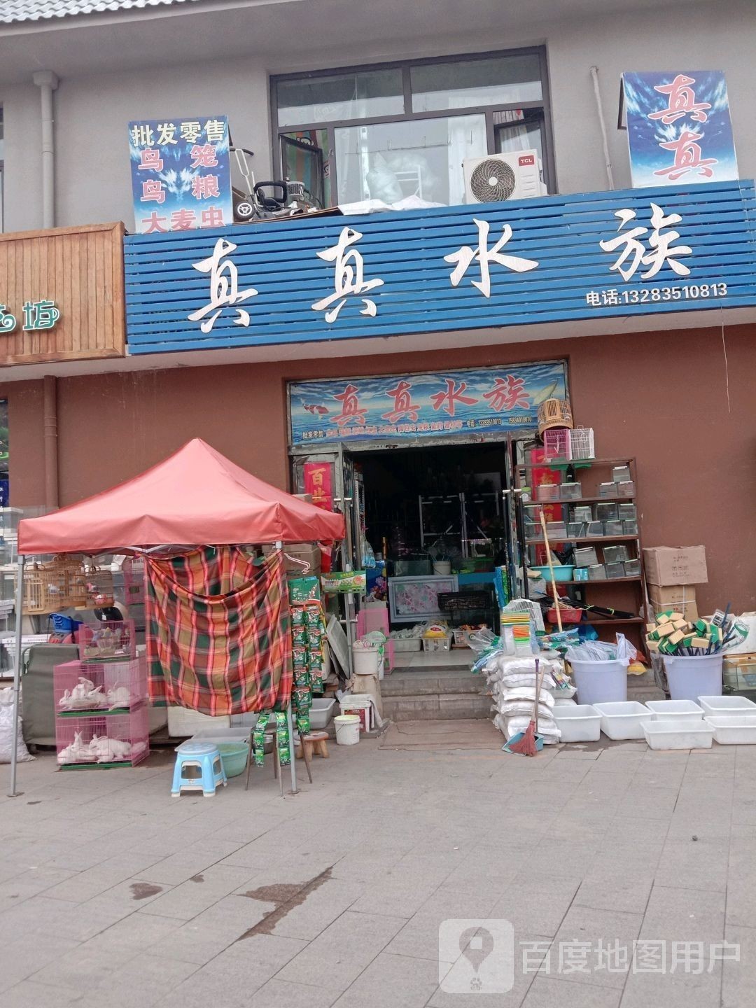 杏花嶺哪個水族館龍魚好？祥龍魚場龍魚（“祥龍魚場”的水族館環(huán)境優(yōu)雅，為游客和水族愛好者的首選之地）