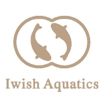 杏花嶺哪個水族館龍魚好？祥龍魚場龍魚（“祥龍魚場”的水族館環(huán)境優(yōu)雅，為游客和水族愛好者的首選之地）