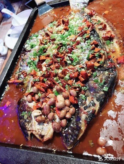如何聯系姜堰區魚美人水族店（“姜堰區魚美人水族店”聯系方式供參考：若進一步精準查詢）