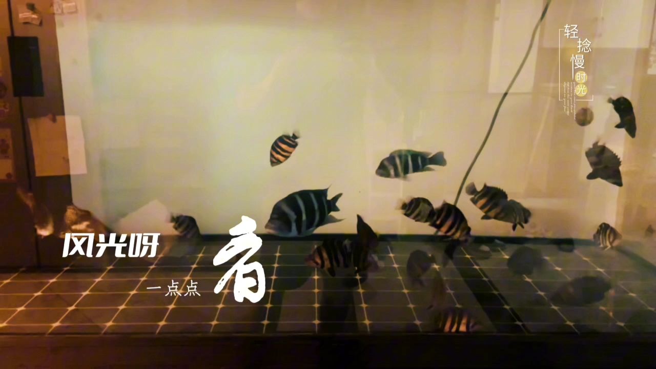 狀態不錯！（《個人成長與成功》）