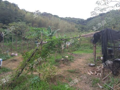 如何聯(lián)系龍門縣的家庭農(nóng)場？（如何通過工商信息獲取龍門縣家庭農(nóng)場的聯(lián)系方式？）