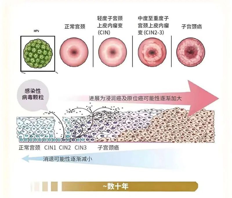 輕微立鱗會自愈嗎？（關于魚類鱗片損傷的問題） 輕微立鱗會自愈嗎？（關于魚類鱗片損傷的問題） 龍魚百科 第6張