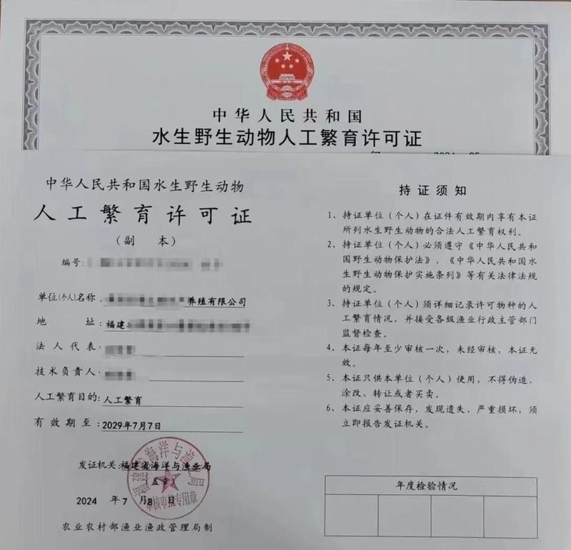龍魚證書需要哪些材料？（龍魚證書辦理需要什么材料？）