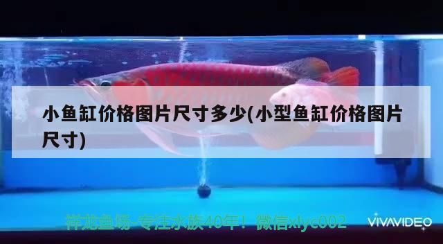 小魚(yú)缸價(jià)格圖片尺寸多少(小型魚(yú)缸價(jià)格圖片尺寸)（小型魚(yú)缸價(jià)格圖片尺寸多少）