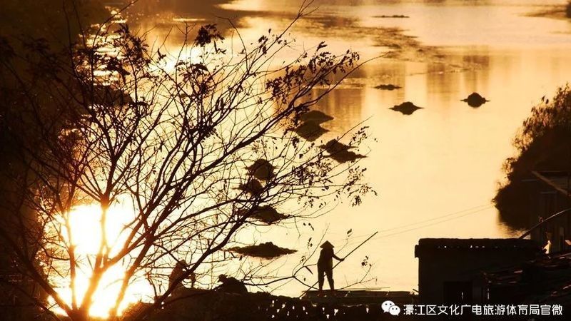 如何挑選新鮮潮汕金龍魚（如何挑選新鮮的潮汕金龍魚）
