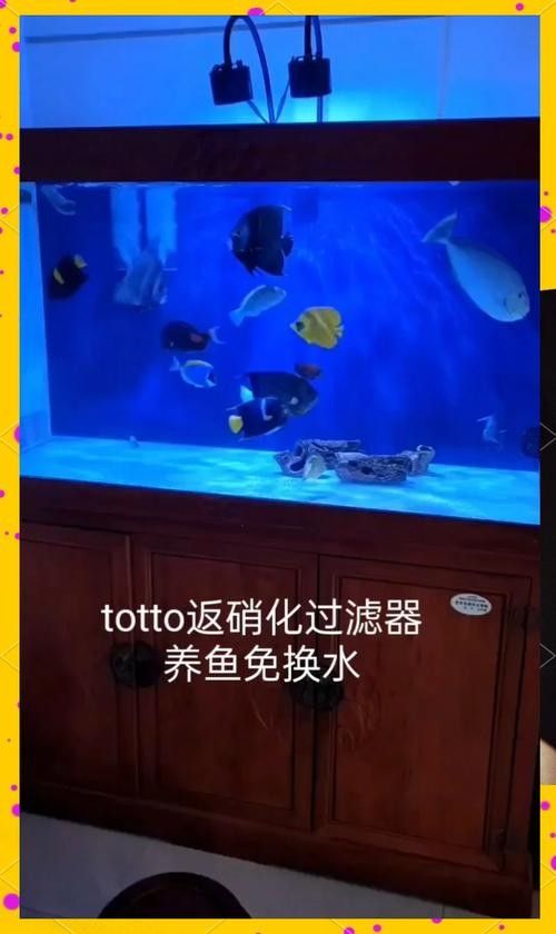 如何保持魚缸水溫穩定（如何穩定魚缸水溫、水溫的辦法）