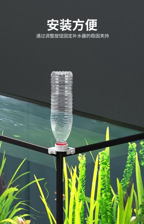 如何保持魚缸水溫穩定（如何穩定魚缸水溫、水溫的辦法）