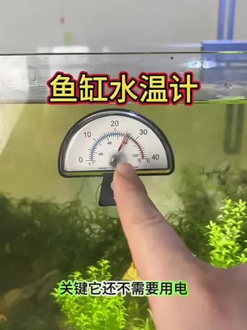 如何保持魚缸水溫穩定（如何穩定魚缸水溫、水溫的辦法）