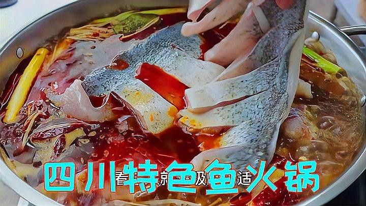 龍魚火鍋的價格范圍（難怪四川的魚火鍋會這么好吃，原來訣竅在這里） 龍魚火鍋的價格范圍（難怪四川的魚火鍋會這么好吃，原來訣竅在這里） 龍魚百科 第6張