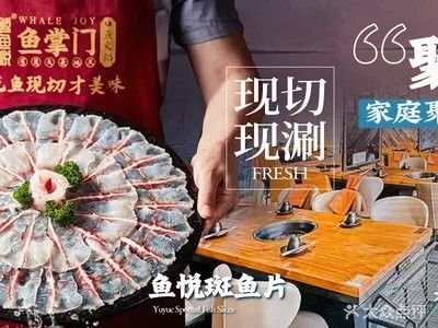 龍魚火鍋的價格范圍（難怪四川的魚火鍋會這么好吃，原來訣竅在這里） 龍魚火鍋的價格范圍（難怪四川的魚火鍋會這么好吃，原來訣竅在這里） 龍魚百科 第10張