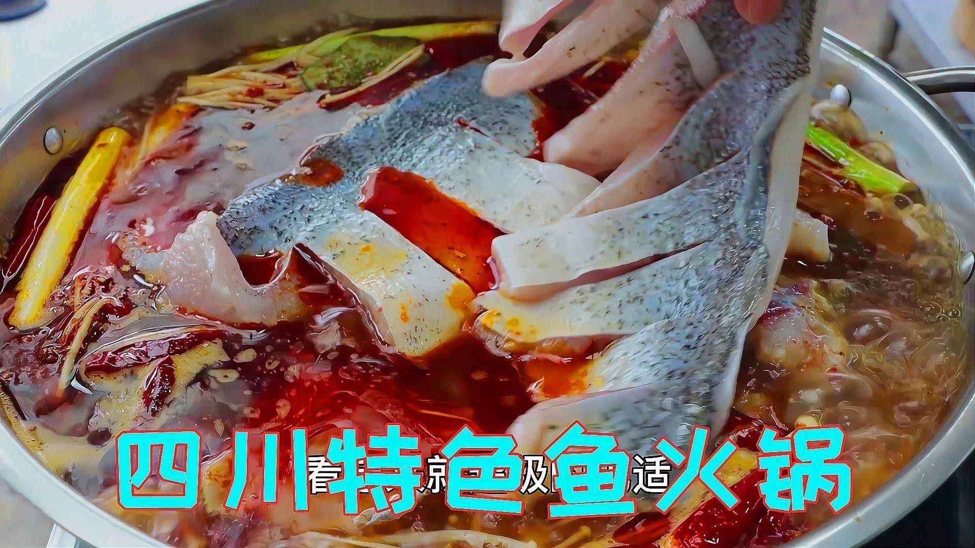 龍魚火鍋的價格范圍（難怪四川的魚火鍋會這么好吃，原來訣竅在這里） 龍魚火鍋的價格范圍（難怪四川的魚火鍋會這么好吃，原來訣竅在這里） 龍魚百科 第8張