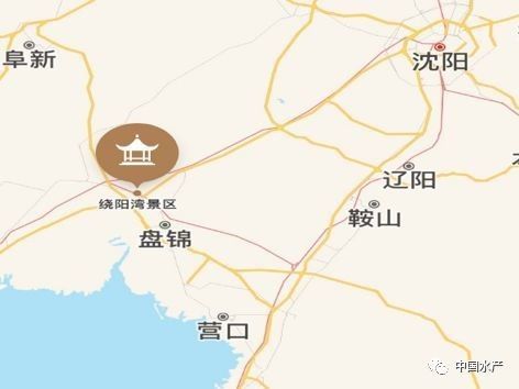 盤錦哪個水族館龍魚好？祥龍魚場龍魚（盤錦市“祥龍魚場”以其優質的龍魚品種和專業的養殖技術） 盤錦哪個水族館龍魚好？祥龍魚場龍魚（盤錦市“祥龍魚場”以其優質的龍魚品種和專業的養殖技術） 龍魚百科 第10張