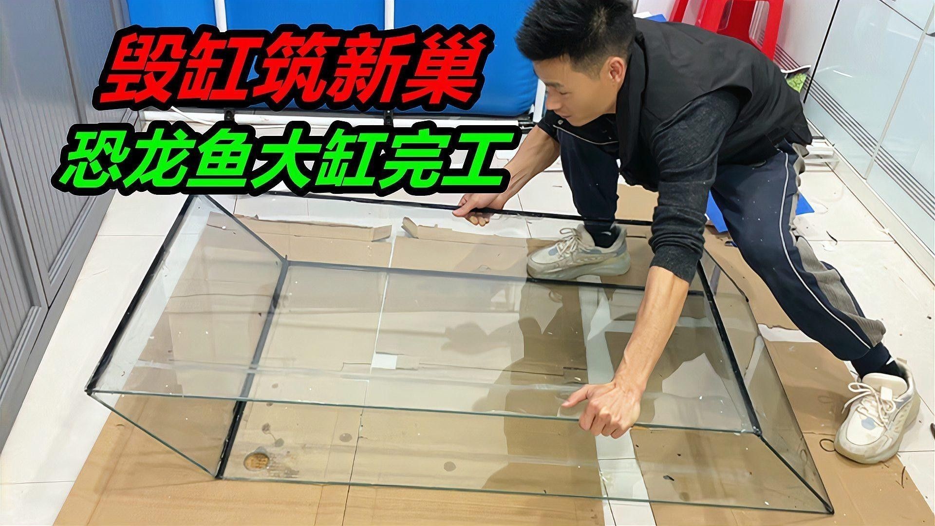 龍魚之巔diy魚缸成本大概是多少（魚之巔diy魚缸成本） 龍魚之巔diy魚缸成本大概是多少（魚之巔diy魚缸成本） 龍魚百科 第8張