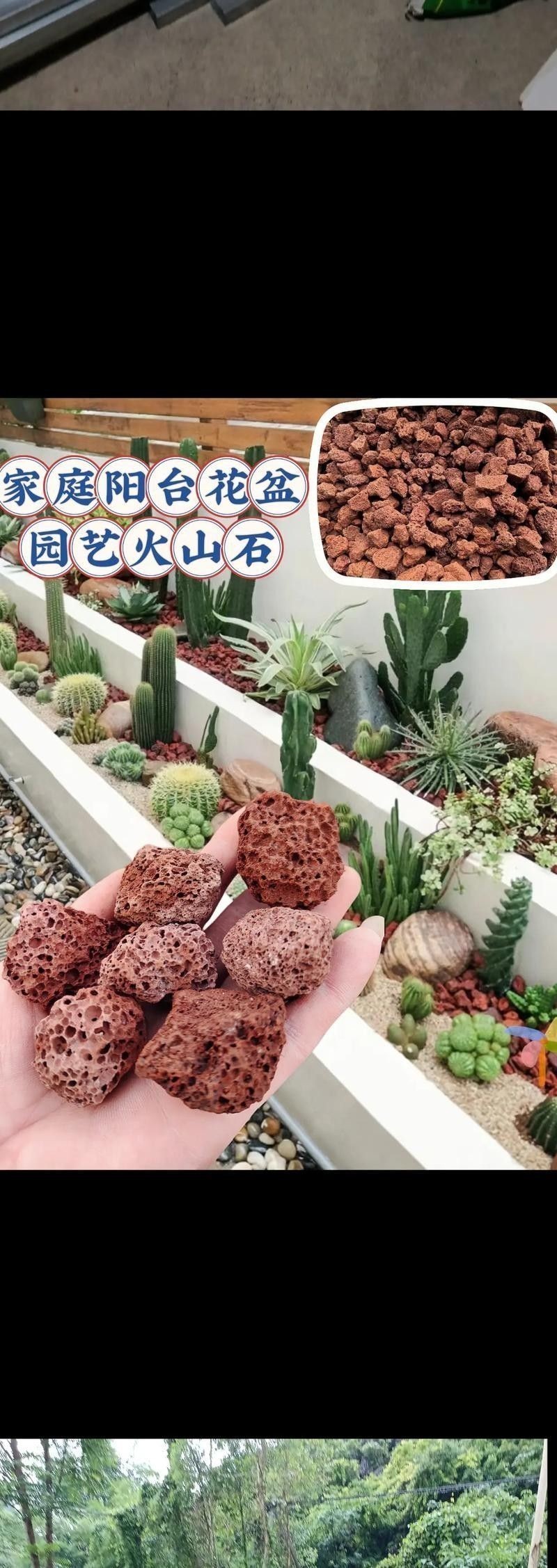 火山石和珊瑚沙的價格差異大嗎（如何區分火山石和珊瑚沙的真偽？）