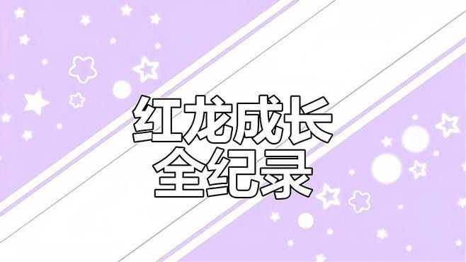 紅龍有哪些進化形態(tài)？（千值練勇者萊汀發(fā)布紅龍各個階段等級爪爪編發(fā)記）