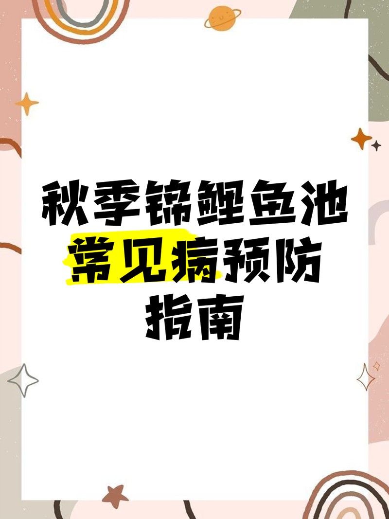如何預(yù)防龍魚(yú)和錦鯉的常見(jiàn)疾病（嗶哩嗶哩嗶哩盤(pán)點(diǎn)夏季錦鯉容易出現(xiàn)的四大細(xì)菌性魚(yú)病）