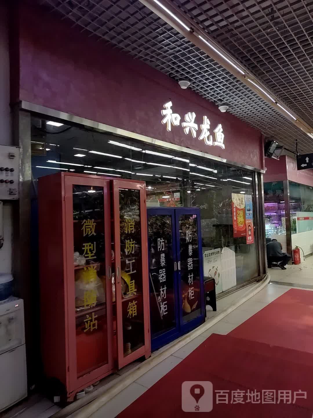 永豐哪個水族館龍魚好？祥龍魚場龍魚（北京永豐哪個水族館龍魚好？） 永豐哪個水族館龍魚好？祥龍魚場龍魚（北京永豐哪個水族館龍魚好？） 龍魚百科 第2張