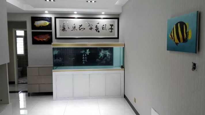 金龍魚大廈電話號碼（1. 金龍魚大廈的電話號碼是多少？）（金龍魚大廈的電話號碼是多少） 金龍魚大廈電話號碼（1. 金龍魚大廈的電話號碼是多少？）（金龍魚大廈的電話號碼是多少） 觀賞魚百科
