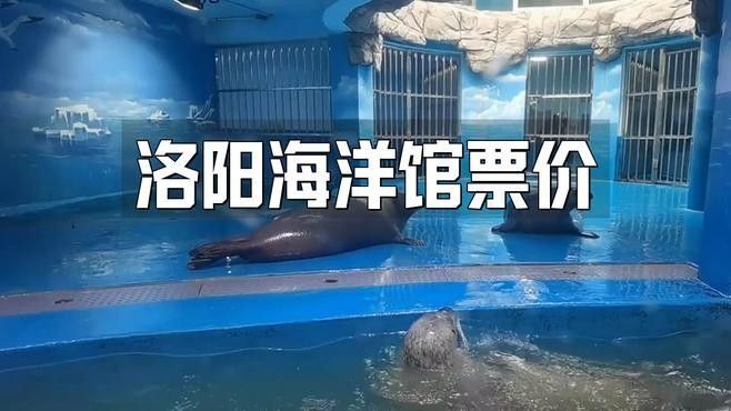 汝陽哪個水族館龍魚好？祥龍魚場龍魚（汝陽水族館祥龍魚場）