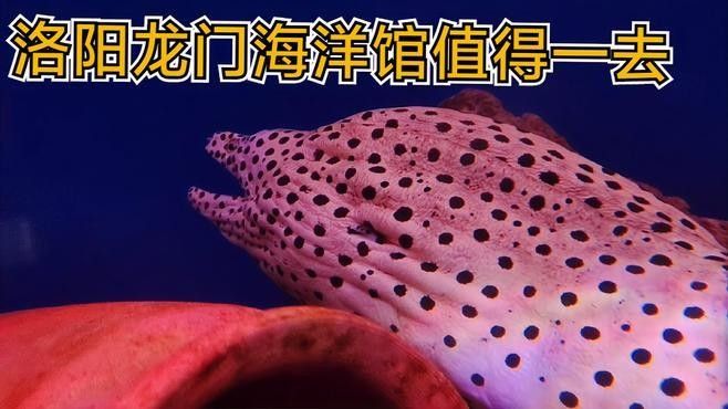 祥龍魚場在清遠的哪個具體地址？（祥龍魚場在清遠有分場嗎,）