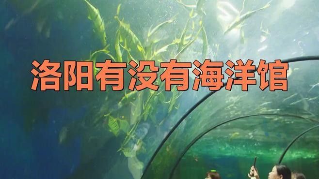 汝陽哪個水族館龍魚好？祥龍魚場龍魚（汝陽水族館祥龍魚場）