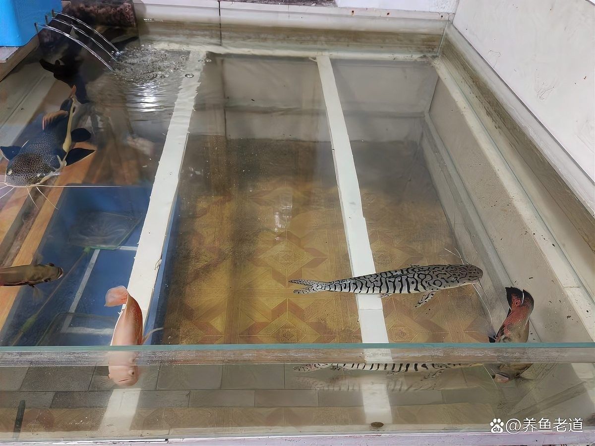 水質(zhì)問(wèn)題如何調(diào)整？（如何通過(guò)科學(xué)的方法和技術(shù)手段，有效的解決水質(zhì)問(wèn)題）