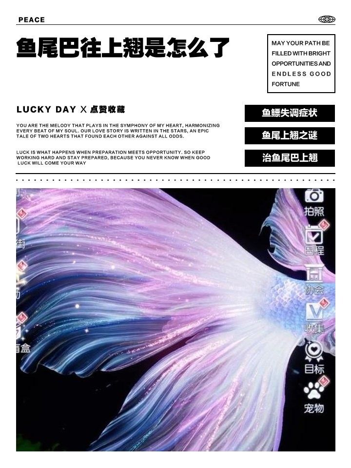 金龍魚翹尾會自愈嗎（金龍魚翹尾（魚尾上翹）能否自愈，金龍魚斷尾、斷鰭怎么辦）