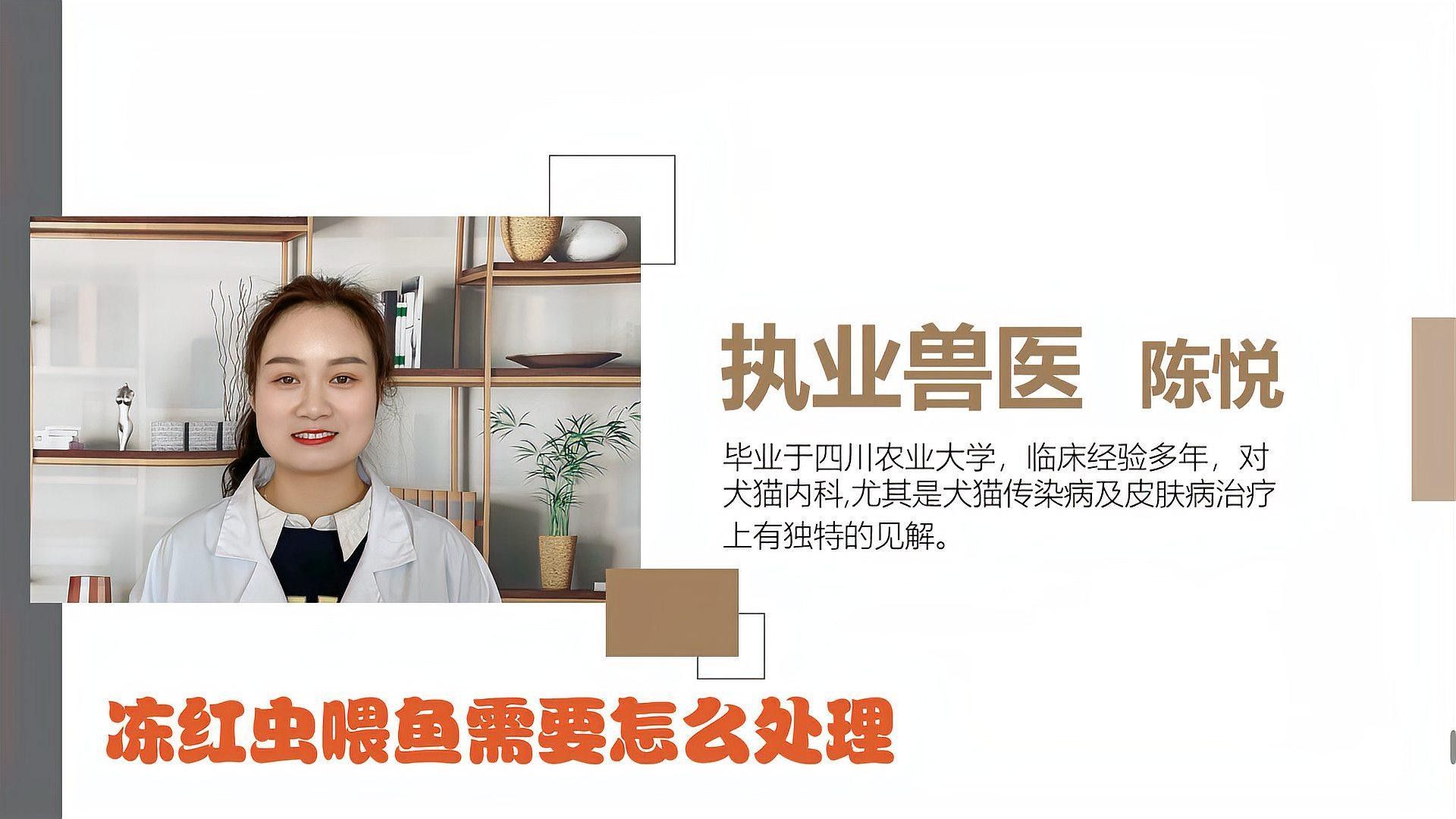 龍行天下（探索中國龍文化的歷史與象征意義） 龍行天下（探索中國龍文化的歷史與象征意義） 龍魚論壇 第2張