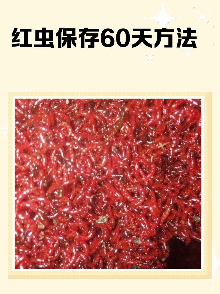 龍行天下（探索中國龍文化的歷史與象征意義） 龍行天下（探索中國龍文化的歷史與象征意義） 龍魚論壇 第3張