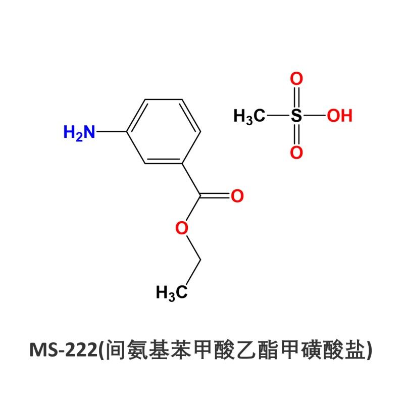 MS-222對人體有害嗎？（ms-222對人體無害但需遵守殘留監控和操作指南）