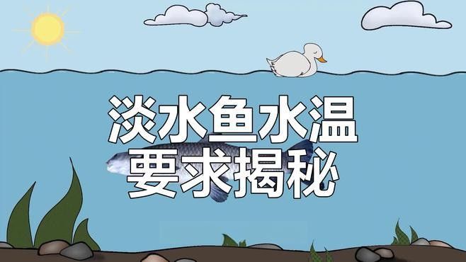 如何判斷水質(zhì)是否適合養(yǎng)魚？（判斷水質(zhì)是否適合養(yǎng)魚）