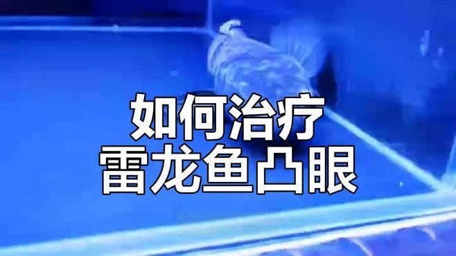 哪種藥物治療龍魚凸眼癥最有效（龍魚凸眼癥怎么治療）