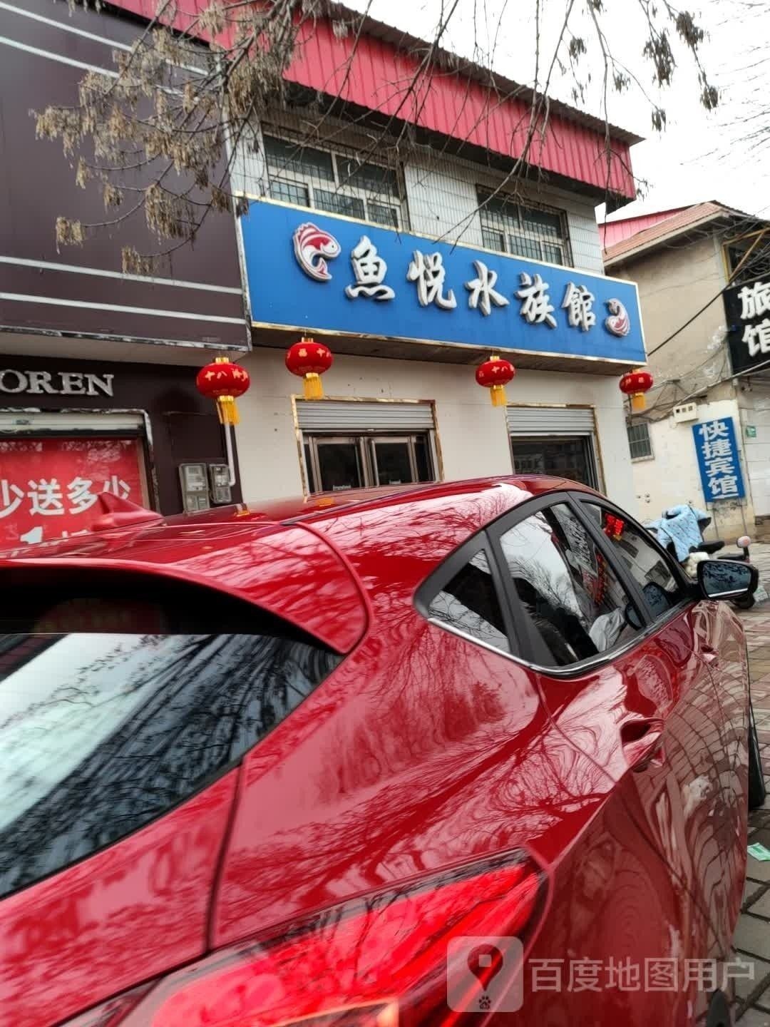 臨城哪個水族館龍魚好？祥龍魚場龍魚（廣州龍魚祥龍魚場臨城縣臨泉路328號水族店購物商鋪） 臨城哪個水族館龍魚好？祥龍魚場龍魚（廣州龍魚祥龍魚場臨城縣臨泉路328號水族店購物商鋪） 龍魚百科 第7張